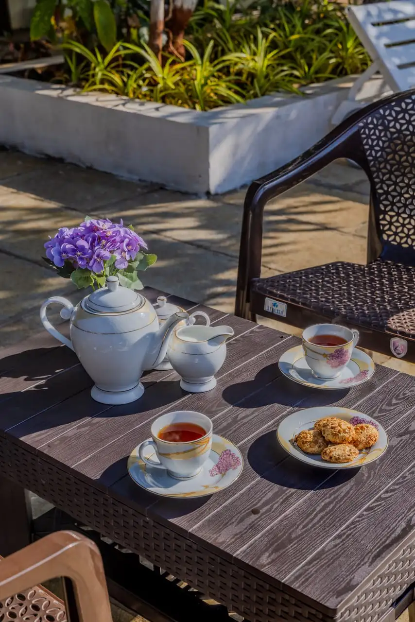 Tea on the terrace, Borde Farms Panshet