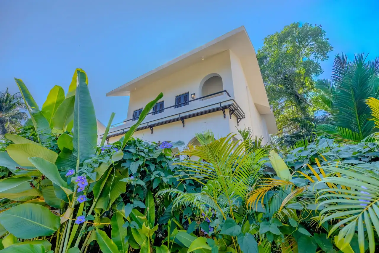 Facade through the garden, IDA 9