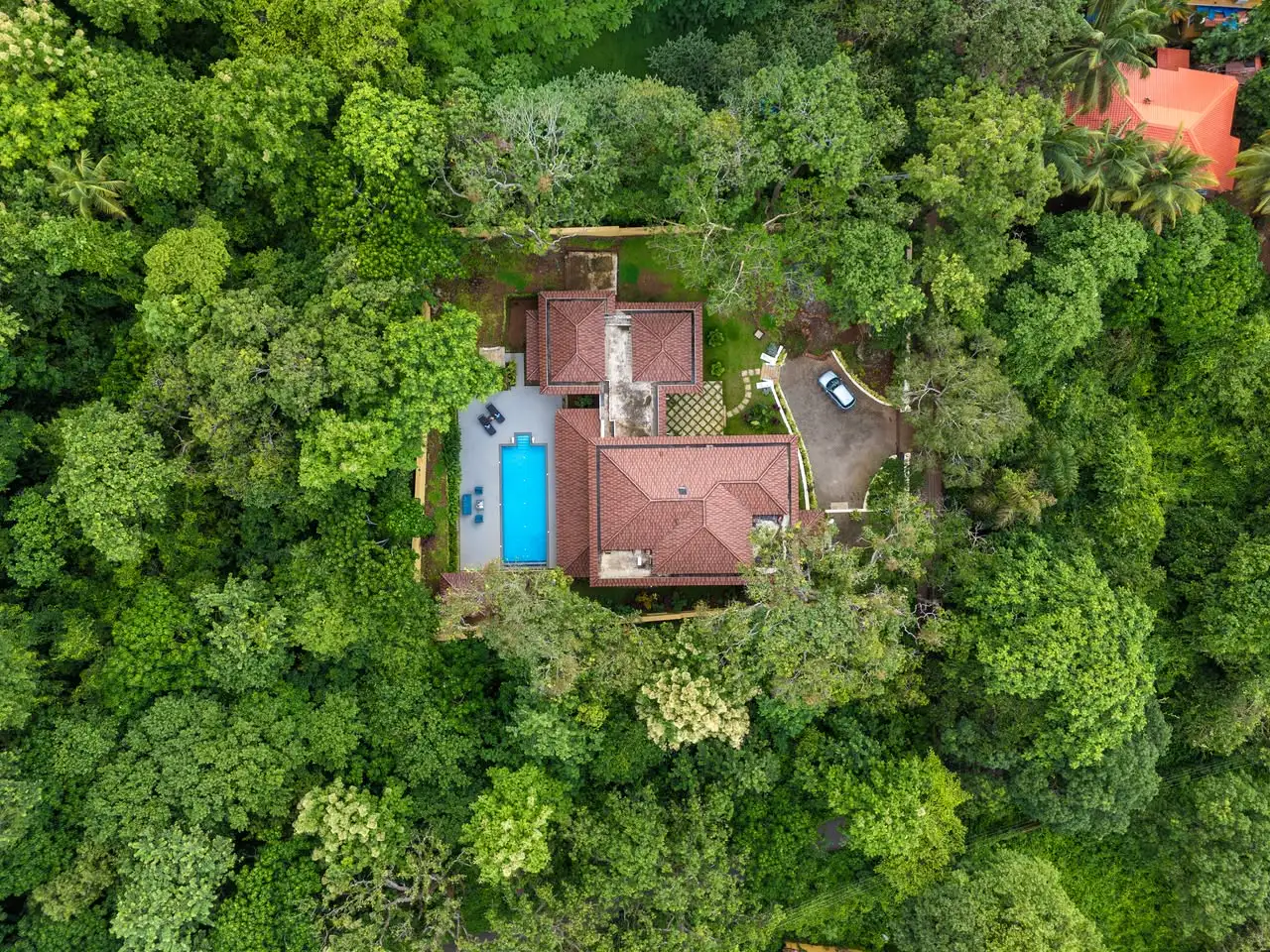 Aerial view over the forest, Lincoln Villa, Siolim